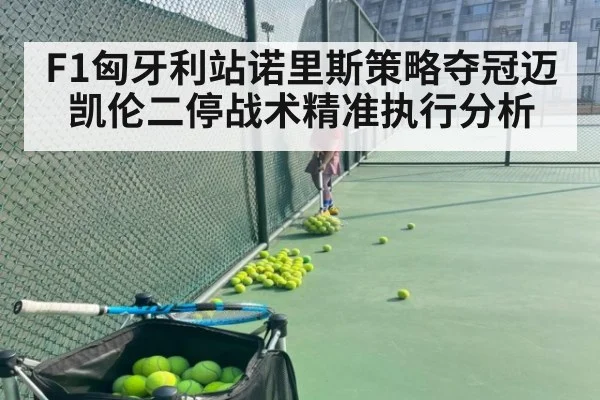 F1匈牙利站诺里斯策略夺冠迈凯伦二停战术精准执行分析