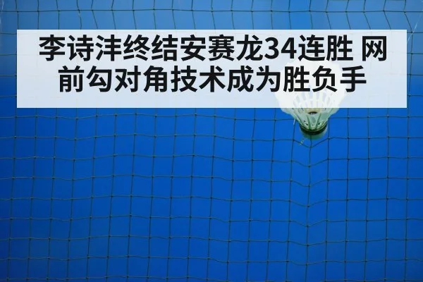 badminton net shot